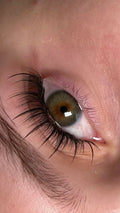 Lash Trays Coco