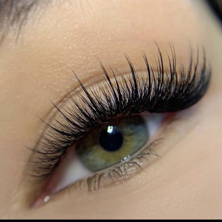 Lash Trays Coco