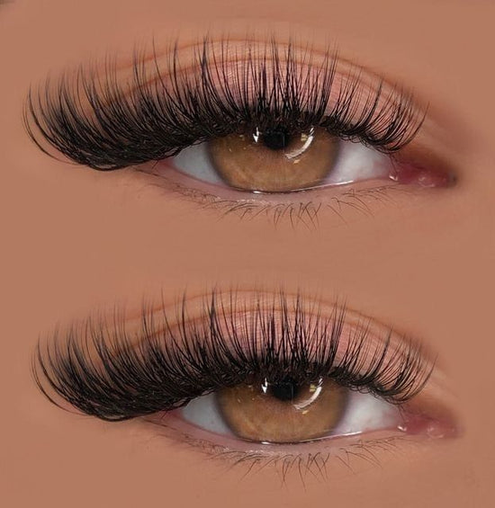 Lash Trays Coco